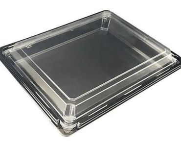 Disposable Rectangle Sushi Container For Takeaway